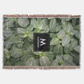 斑入りモザイク葉植物 スローブランケット (正面)