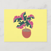 斑入りモンステラ ピンクとグリーンのポット植え ポストカード (正面)
