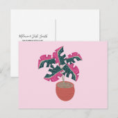 斑入りモンステラ ピンクとグリーンの鉢植え植物 ポストカード (正面/裏面)
