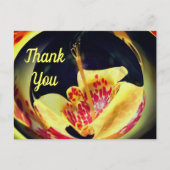 斑入りリリー・アブストラクト・フラワーの感謝を伝えるポストカード ポストカード (正面)