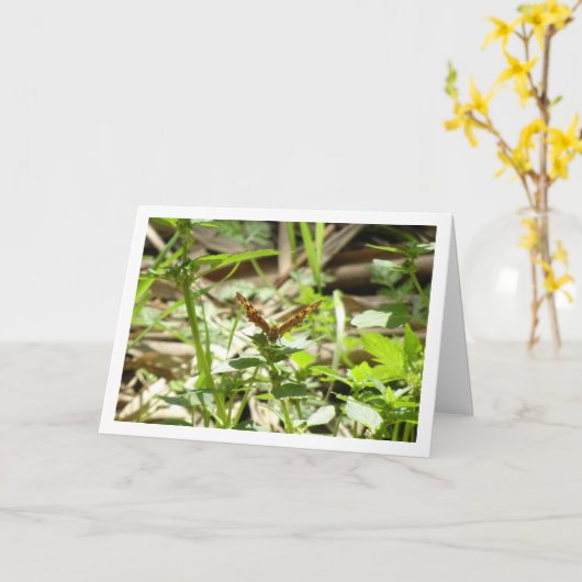 斑入り木製バタフライマクラダ,大海老 カード (黄色い花)