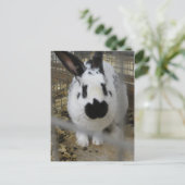 斑点のあるウサギ ポストカード (スタンド正面)