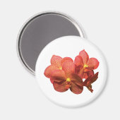 斑点のあるオレンジ色のラン マグネット (正面/裏面)