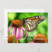 斑点のあるオレンジ色の蝶_Greetings from NH ポストカード (正面/裏面)