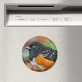 斑点のあるトウヒの輪郭 マグネット (インサイチュ (食洗機))