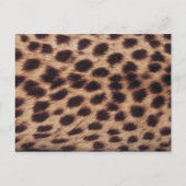 斑点のあるネコの表面 ポストカード (正面)