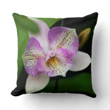 斑点のあるピンクの蘭