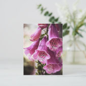 斑点のあるベルの花はがき ポストカード (スタンド正面)