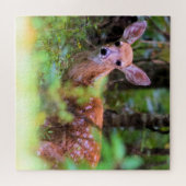 斑点のある子鹿で隠して探す – 20x20インチ ジグソーパズル (横)