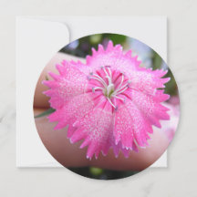 斑点のある明るいピンク色の花