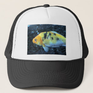 斑点のある金魚 キャップ