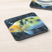 斑点のある金魚 コースター (左側)