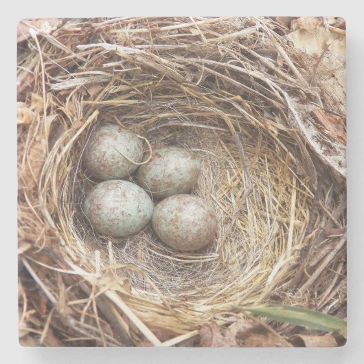斑点のある青い卵の写真を持つ鳥巣 ストーンコースター (正面)