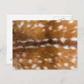斑点のある鹿のファーテクスチャ ポストカード (正面/裏面)