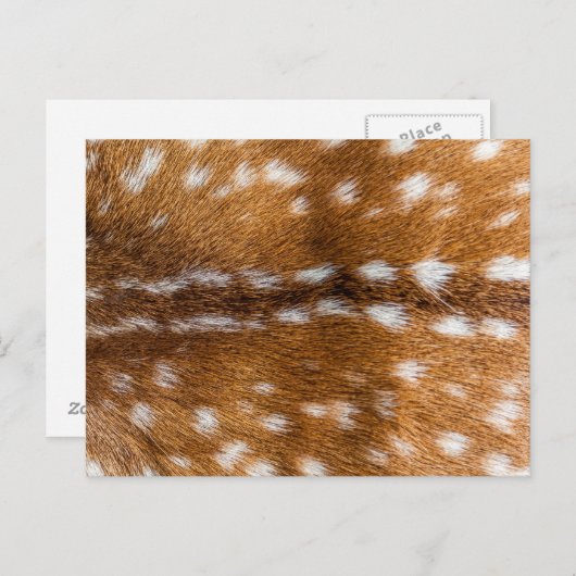 斑点のある鹿のファーテクスチャ ポストカード (正面/裏面)