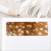 斑点のある鹿のファーテクスチャ ラベル (インサイチュ)