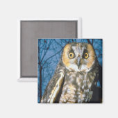 斑点のある マグネット (正面/裏面)