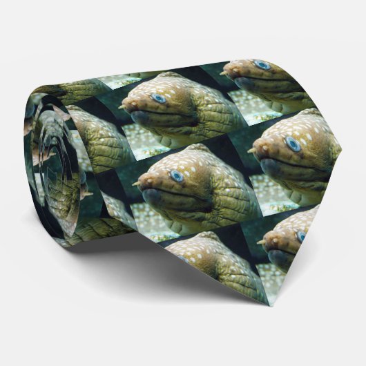 斑点を付けられたウツボ ネクタイ (ロール)