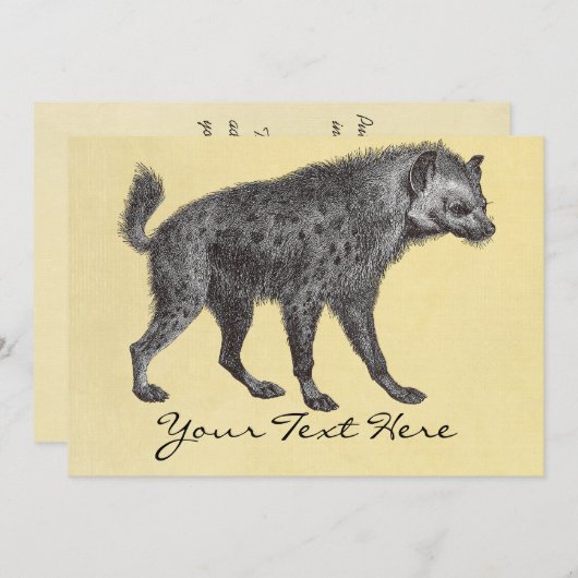 斑点を付けられたハイエナの招待状 招待状 (正面/裏面)