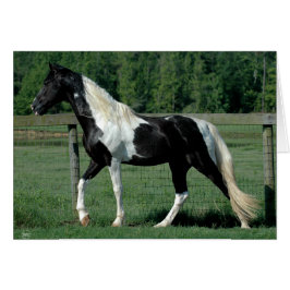 斑点を付けられた歩行者