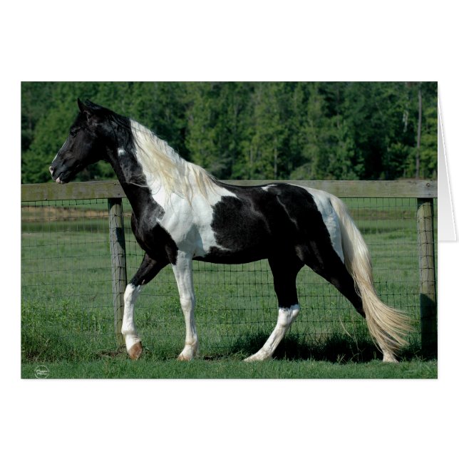 斑点を付けられた歩行者 (正面横)