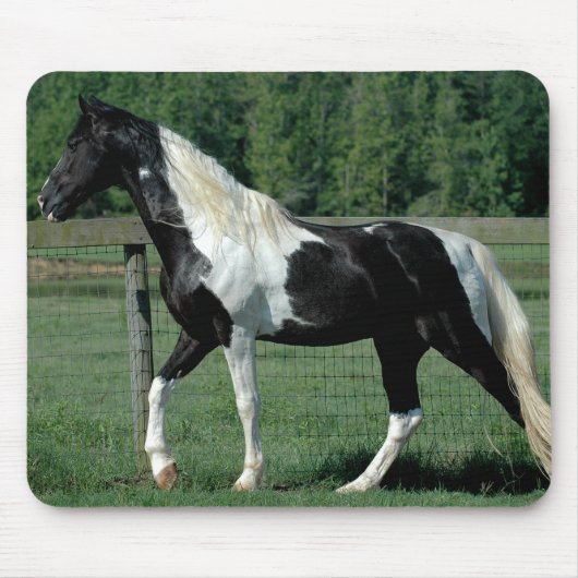 斑点を付けられた歩行者 マウスパッド (正面)