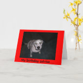 斑点を付けられる助言して下さい カード (黄色い花)