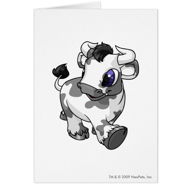 斑点を付けられるKau (正面)