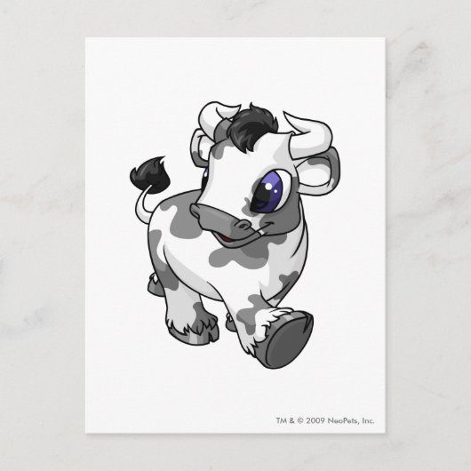 斑点を付けられるKau ポストカード (正面)