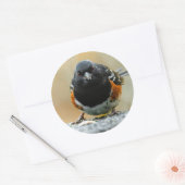 斑点トホエとの顔顔 ラウンドシール (封筒)