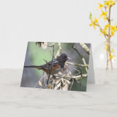 斑点トホエ カード (黄色い花)