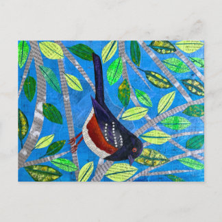 斑点トホエ ポストカード