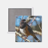 斑点トホエ マグネット (正面/裏面)