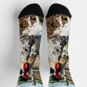 **「斑点女王陛下：斑点のある農場の雄鶏」** ソックス (上部)