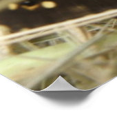 斑点木蝴蝶印刷品 ポスター (角)