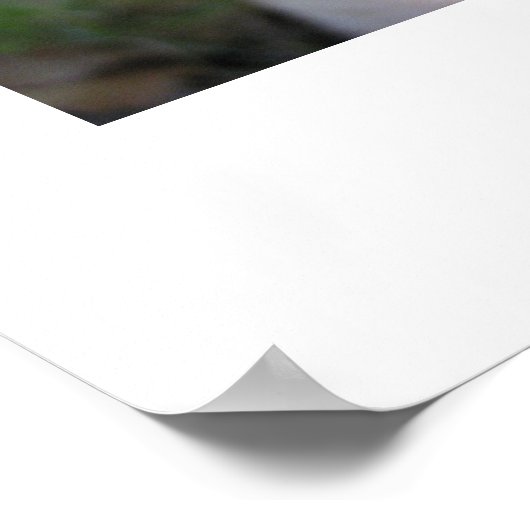 斑点状の便 ポスター (角)