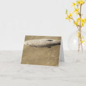 斑点 カード (黄色い花)