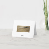 斑点 カード (裏面)