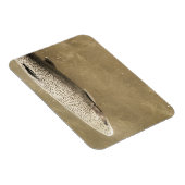 斑点 マグネット (右側)