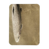 斑点 マグネット (縦)