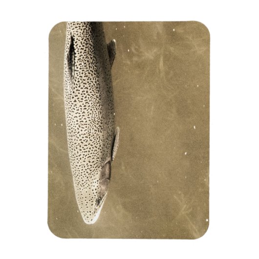 斑点 マグネット (縦)