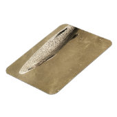 斑点 マグネット (左側)