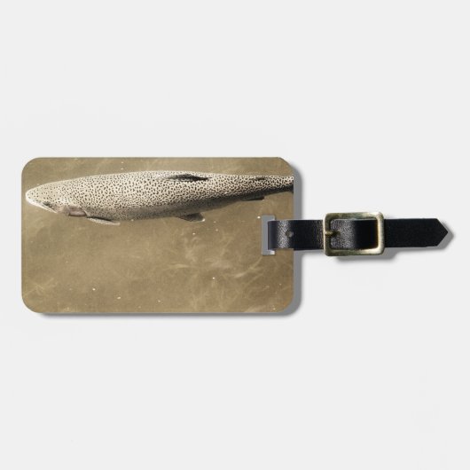 斑点 ラゲッジタグ (正面横)