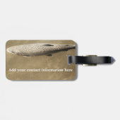 斑点 ラゲッジタグ (裏面横)