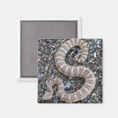 斑状のガラヘビのスネークマグネット マグネット (正面/裏面)