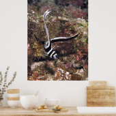 斑状のドラム少年 ポスター (キッチン)