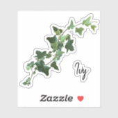 斑状ツタ シール (シート)