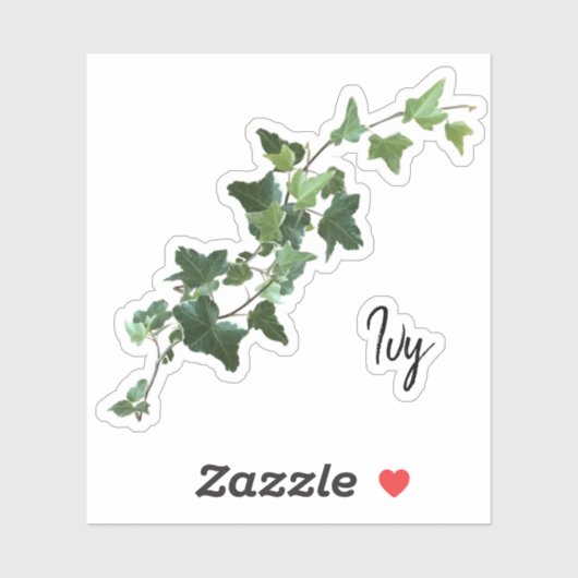 斑状ツタ シール (シート)