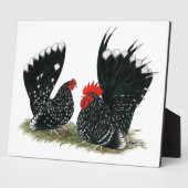 斑状日本のバンタムズ フォトプラーク (側面)