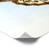 斑状木蝶の水彩画絵画のポスター ポスター (角)